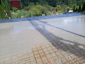 2025-09-09 063 (800x600)